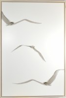 62" x 42" Three Seagulls on a White Background Canvas in a Whitewash Frame