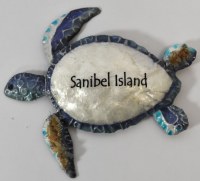 Blue and White Turtle Capiz Magnet