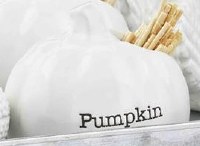 2.5" Pumpkin Shaped Toothpick Holder and Toothpicks by Mud Pie Fall and Thanksgiving