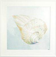 21" Sq Cone Shell Gel Print With a White Frame
