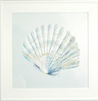 21" Sq Scallop Shell Gel Textured Coastal Print With a White Frame