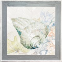 31" Sq Green Cone Shell Gel Print With a Graywash Frame