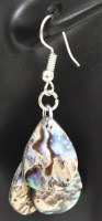 Three Paua Shell Teardrop Earrings