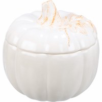 6" White Ceramic Pumpkin Jar Fall and Thanksgiving Decoration