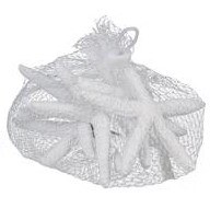 Bag of Four 3.5" White Resin Starfish