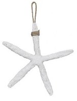 8" White Starfish With Rope Plaque