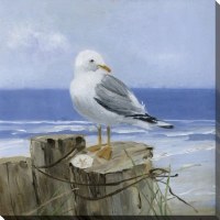 16" Sq Seagull With a Sand Dollar Canvas