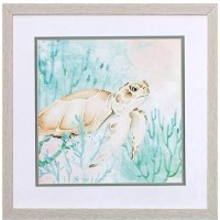 17" Sq Brown Sea Turtle Framed Print Under Glass