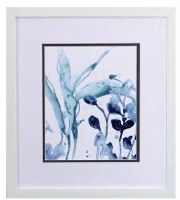 16" x 14" Blue Kelp on the Left Framed Print Under Glass