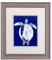 18" x 16" White Turtle on a Blue Background Framed Print Under Glass