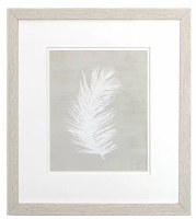 16" x 14" Curved White Palm Frond Framed Print Under Glass