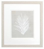 16" x 14" Straight White Palm Frond Framed Print Under Glass