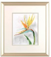 17" x 15" One Bird of Paradise Framed Print Under Glass