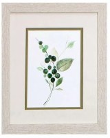 11" x 9" One Big Green Leaf Framed Print Under Glass