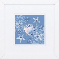 11" Sq Indigo Scallop Shell and Starfish Framed Print Under Glass