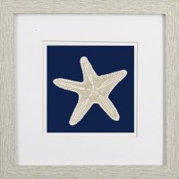 11" Sq Beige Starfish on Navy 1 Framed Print Under Glass