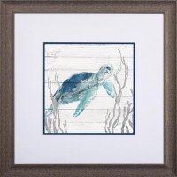 19" Sq Aqua Sea Turtle 1 Framed Print Under Glass