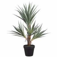 23" Faux Green Yucca Plant in a Black Pot