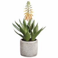 13" Faux Single Orange and Green Blooming Agave Plant in a Distressed White Pot