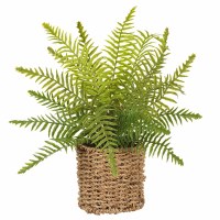 15" Faux Green Boston Fern in a Basket