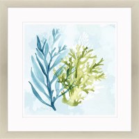 36" Sq Under the Sea 1 Silver Framed Print Under Glass