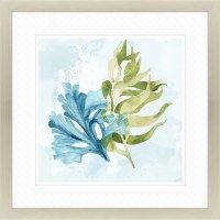 36" Sq Under the Sea 2 Silver Framed Print Under Glass