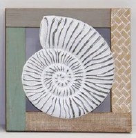 12" Sq Distressed White Nautilus on Wood Wall Plaque