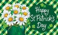 18" x 30" St. Patrick's Day Daisy Doormat