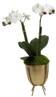 20" Faux Mini White Orchid in a Gold Stand Pot