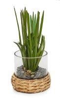 14" Faux Green Grass in a Glass and Wicker Vase