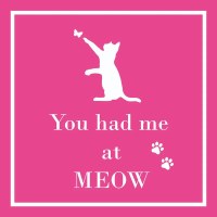 5" Square "You Had Me At Meow" Beverage Napkins