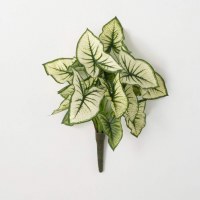 15" Faux Green and White Caladium Bush