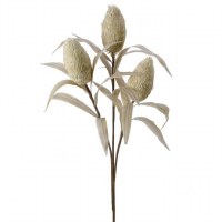 39" Faux Cream Foam Cone Protea Stem