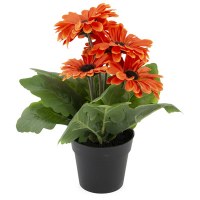 10" Faux Orange Potted Daisy