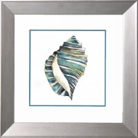 18" Sq Turquoise Harpa Shell Coastal Print in a Silver Frame Under Glass