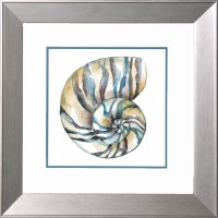 18" Sq Turquoise Nautilus Shell Coastal Print in a Silver Frame Under Glass