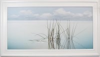 31" x 55" Grass in the Water Coastal Gel Print in a White Frame
