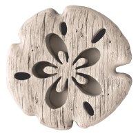 8" Wood Sand Dollar Wall Art Plaque