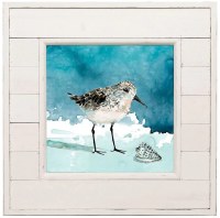 24" Sq Short Bill Sandpiper in a White Frame Under Glass