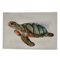 9" x 13" Turtle Canvas