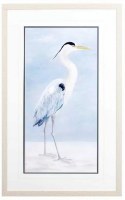 31" x 19" Blue Heron With Head Up Coastal Whitewash Framed Print Under Glass