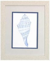 11" x 9" Backside of the Blue Shell Coastal White Wash Framed Print Under Glass