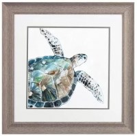 19" Sq Sea Turtle With Fin Flat Coastal Framed Print Under Glass