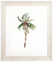 29" x 25" Still Palm Tree Tropical Framed Print Under Glass