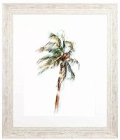 29" x 25" Windy Palm Tree Tropical Framed Print Under Glass