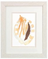 11" x 9" Striped Shell Coastal Whitewash Framed Print Under Glass