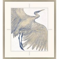 39" x 35" Plumage 1 Coastal Framed Print Under Glass