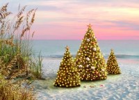 Box of 16 6" x 8" Velvet Touch Three Christmas Trees on the Beach Christmas Cards