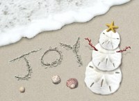 Box of 16 6" x 8" Velvet Touch "Joy"Surf and Sand Dollar Snowman Christmas Cards