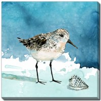 24" Sq Shorebirds 1 Coastal Canvas